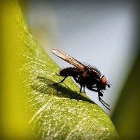 /album/espanha/photolia-a04-jpg/