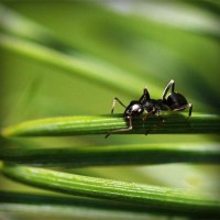 /album/espanha/photolia-a05-jpg/