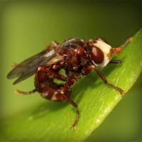 /album/espanha/photolia-a06-jpg/