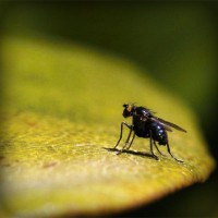 /album/espanha/photolia-a07-jpg/