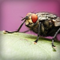 /album/espanha/photolia-a08-jpg/
